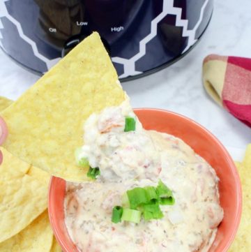 Crockpot Cheesy Sausage Dip
