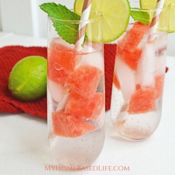 Watermelon Mojito